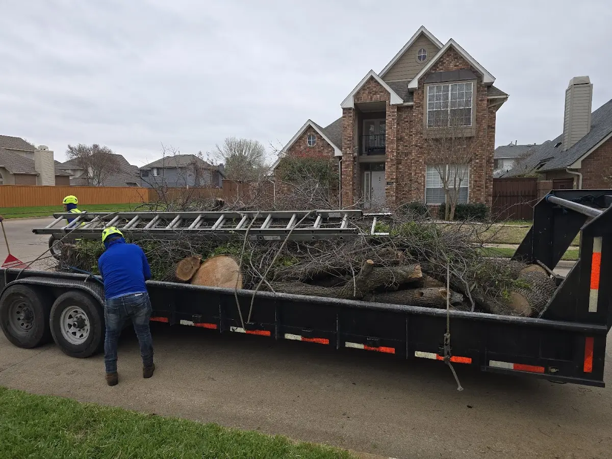 Expert Crown Reduction with proper safety equipment in Willow Springs
